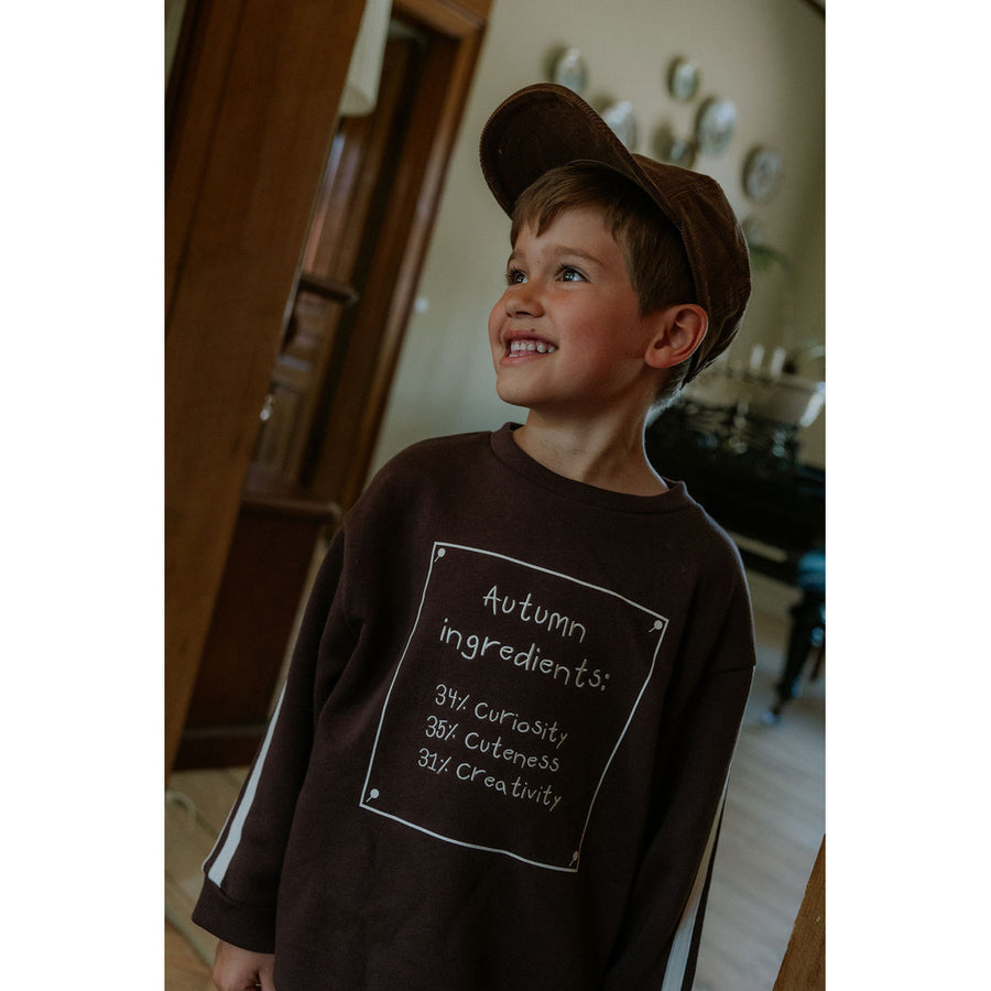 Felpa Alvin Autumn- coffee bean