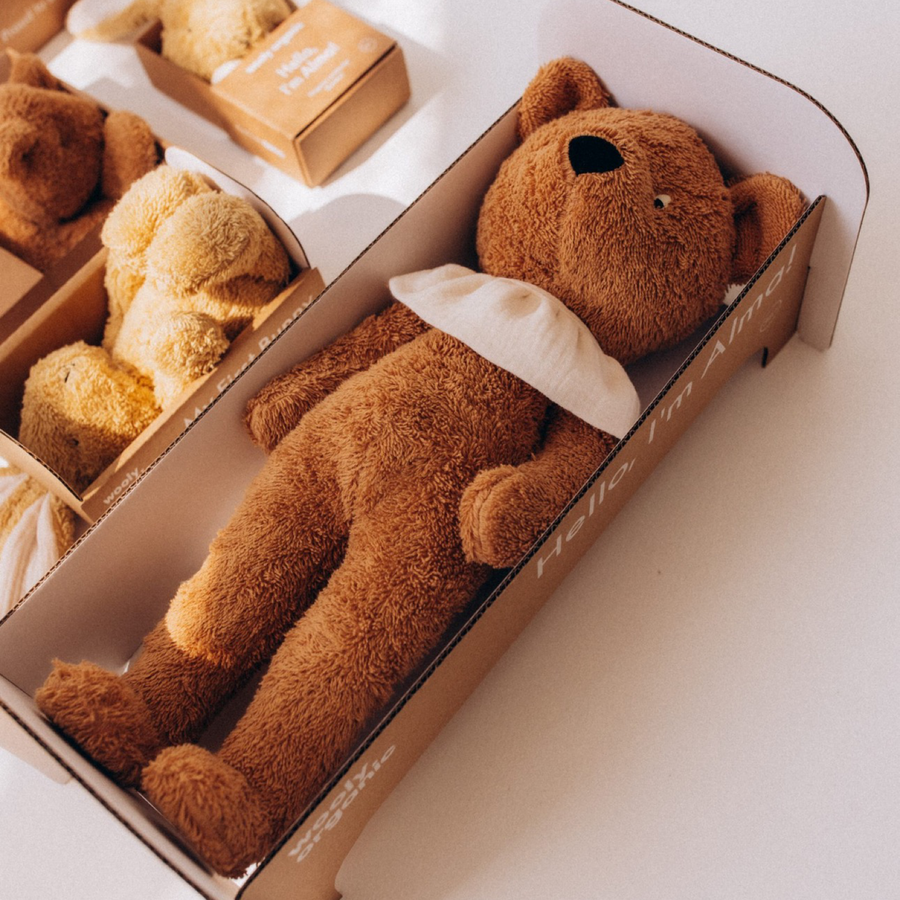 Yoga Teddy
