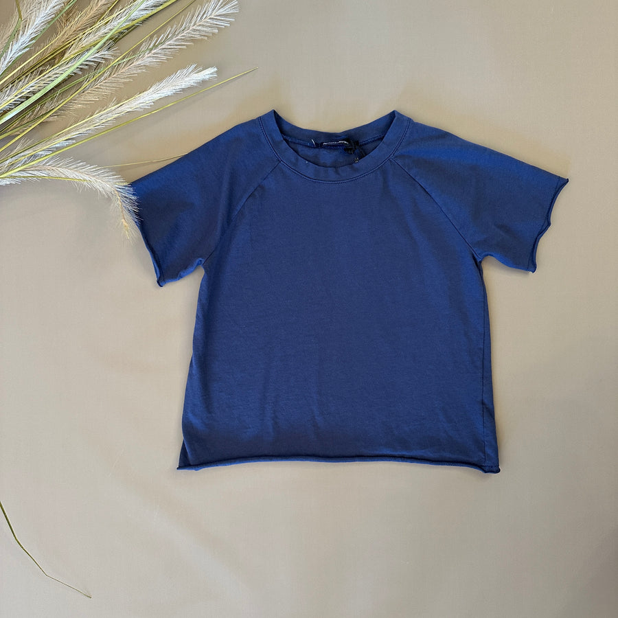 T-shirt in jersey di cotone mirtillo