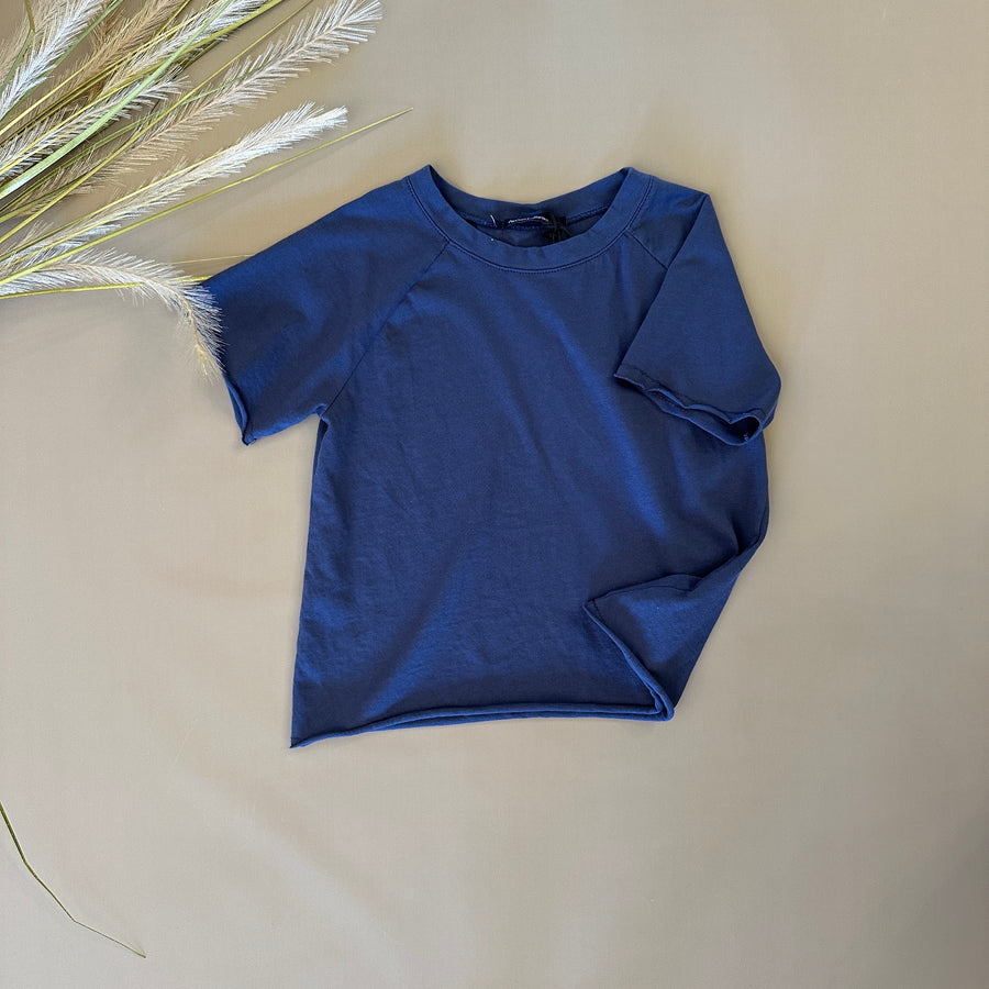 T-shirt in jersey di cotone mirtillo