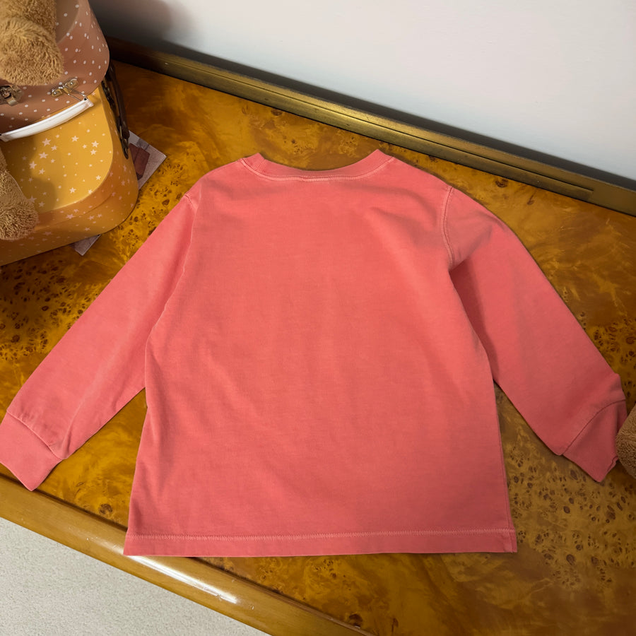 Fox pigment longsleeve