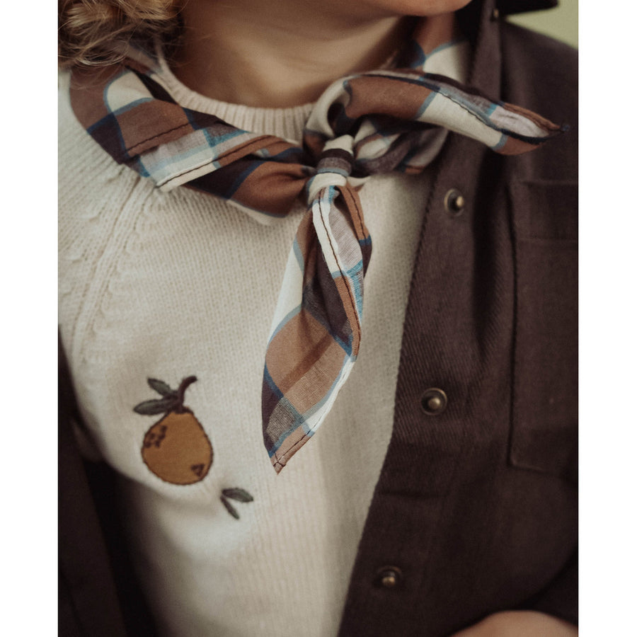 Kota Scarf – Sciarpa in Cotone insignia check