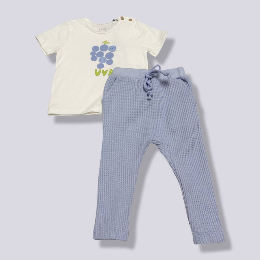 t-shirt stampa uva